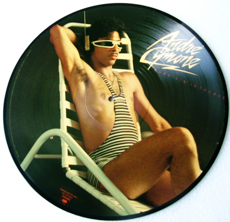 Andre' Cymone - Survivin' in the 80's Picture Disk 