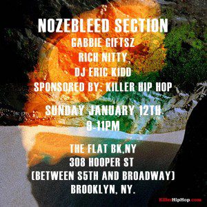 nozebleed section live at the flat bkny